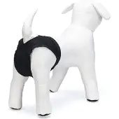Beeztees Løbetidsunderbukser - XXL: 47-60 cm