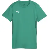 Puma Teamgoal Jersey Wmn Sport Green-White, størrelse X-Small