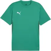 Puma Trænings T-Shirt teamGOAL - Grøn/Hvid, størrelse XX-Large