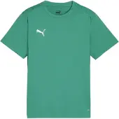 Puma Funktionsskjorte 'TeamGoal' grøn / hvid