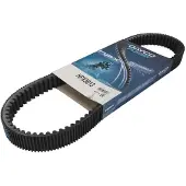 DAYCO Hpx5013 Drivrem