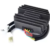 Vicma 2493 Regulator/ensretter