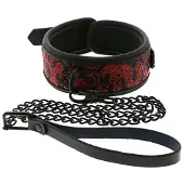 Dream Toys Blaze Deluxe Collar & Leash