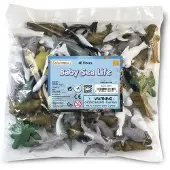 Safari Ltd Baby Sea Life Bulk Bag Figur