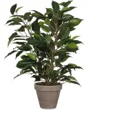 Mica Ficus Natsja Kunstig Plante