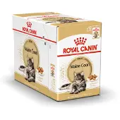 Royal Canin Maine Coon Kattefoder - Vådfoder - 12 x 85 g