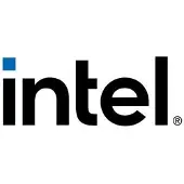 Intel - GPU-sæt - for Server System M50FCP1UR204, M50FCP2UR208, M50FCP2UR312