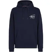 Tommy Hilfiger Reg Entry Graphic Hættetrøje