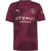 Puma Manchester City 24/25 Third Jersey Men, Clothing, Dark Jasper, XL