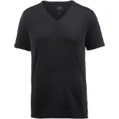 Icebreaker Bluser & t-shirts 'Anatomica SS' sort