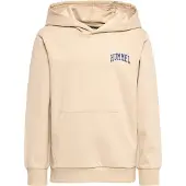 Hummel Fast Hættetrøje