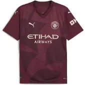 Puma Manchester City Fc 24/25 Third T-shirt Med Korte ærmer
