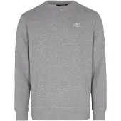 O'Neill Sweatshirt grå