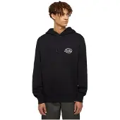 Dickies Globe Hættetrøje