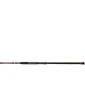 Penn Prevail Ii Uptide Bund Fiskestang