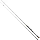 Cinnetic Raycast Xbr Evolution Eging-stang