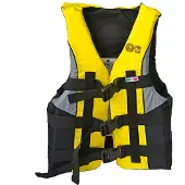 Prosea Hugormevest