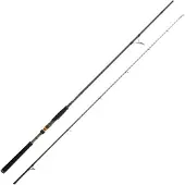 Cinnetic Raycast Xbr Shore Jigging Stang