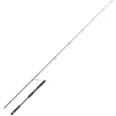 Cinnetic Rayforce Xbr Boat Casting Spinnestang