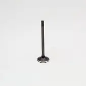 ProX Honda Xr600r 93-00 + Xr650l 93-22 Vc16541 Udstødningsventil