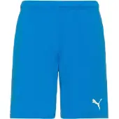 Puma Sportsbukser 'TeamRise' azur