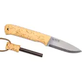 Casström Woodsman Curly Birch
