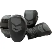 Everlast Fse Prospect 2 Kit Mitt Læder Kunstige Boksehandsker