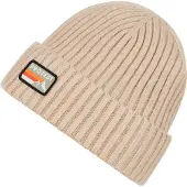 Protest Worsley 24 Beanie