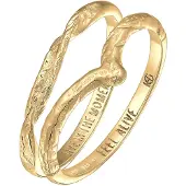 Haze&Glory Ring guld