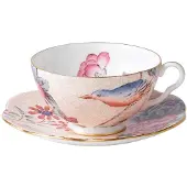 Wedgwood Cuckoo Teacup & Saucer Set 1 Count (Pack 1) Peach