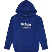 Tommy Hilfiger Waving Flag Hættetrøje
