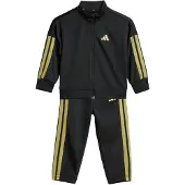 Adidas Træningsdragt 'Essentials' lime / sort