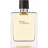 Hermès Paris Terre D'Eau De Toilette Spray 100ml