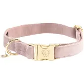 Kentucky Velvet Hundehalsbånd