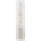 Paul Mitchell Awapuhi Wild Ginger Style Finishing Hairspray 300 ml
