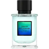 David Beckham True Instinct Eau de Parfum 50 ml