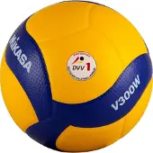MIKASA V300W, 280 g, Flerfarvet, Indendørs, Monokromatisk, 1 stk