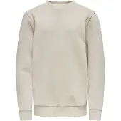 Only & Sons Junior Sweatshirt 'OSJCeres' greige