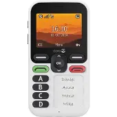 Doro Leva X10 4G - White