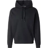 Replay Sweatshirt sort