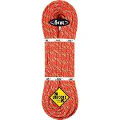 BEAL Tiger Golden Dry 10 Mm Reb
