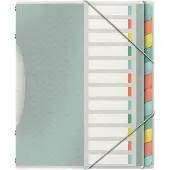 Esselte Colour'Ice - Klassificeringsmappe - 12 rum - 12 dele - med faneblade - mange farver