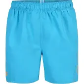 Arena Boardshorts 'FUNDAMENTALS LOGO BOXER' blå / grå