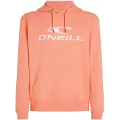 O'Neill Logo Hættetrøje