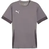 Puma Trænings T-Shirt teamGOAL - Grå/Hvid, størrelse 3XL