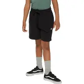 Dickies Youth Mapleton Sports Shorts