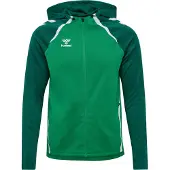 Hummel Sportsweatshirt 'Lead 2.0' grøn / mørkegrøn