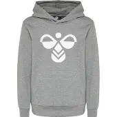 Hummel Cuatro Hættetrøje