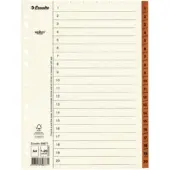 Esselte Register Servo A4/1-20, 10 stk.