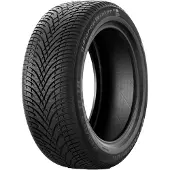 BF Goodrich g-Force Winter 2